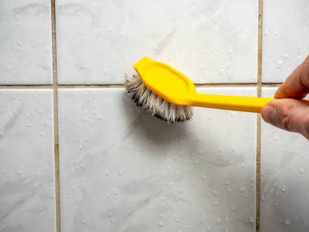 Best Certified Mold Removal  in , IN